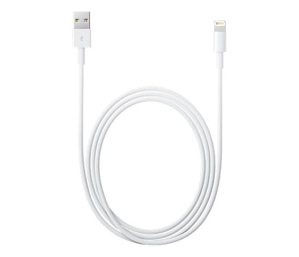 APPLE Lightning - USB 2 m MD819ZM/A - 170295 - zdjęcie